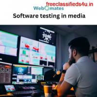  Software testing in media