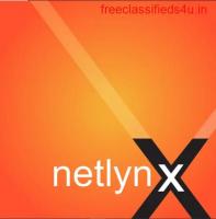 Expert WooCommerce Web Design in Fairfax | Netlynx Inc