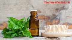Menthol Oil's Health Benefits And Precautions in Daily Life